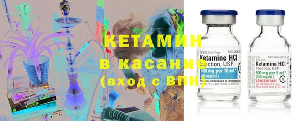 индика Богданович