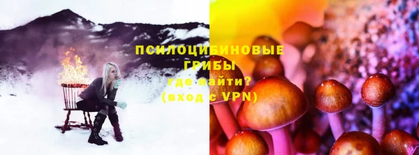 индика Богданович
