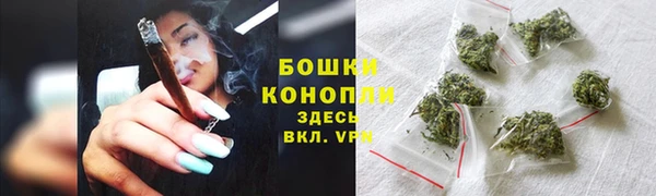 индика Богданович