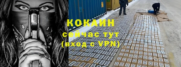индика Богданович