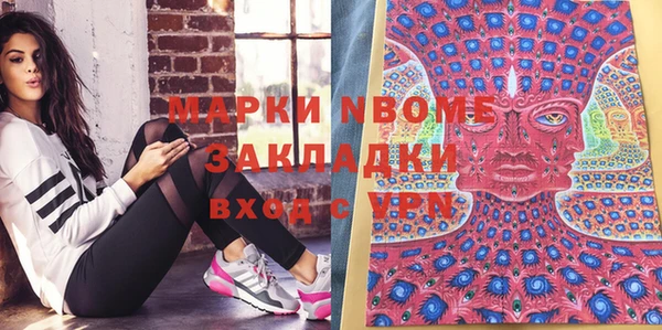 индика Богданович