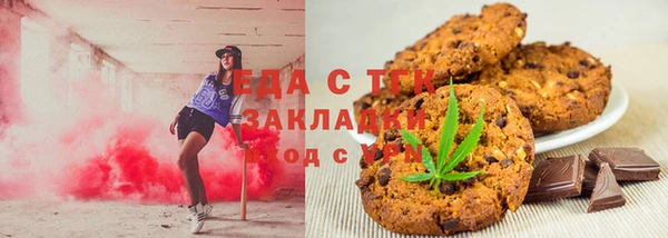 индика Богданович